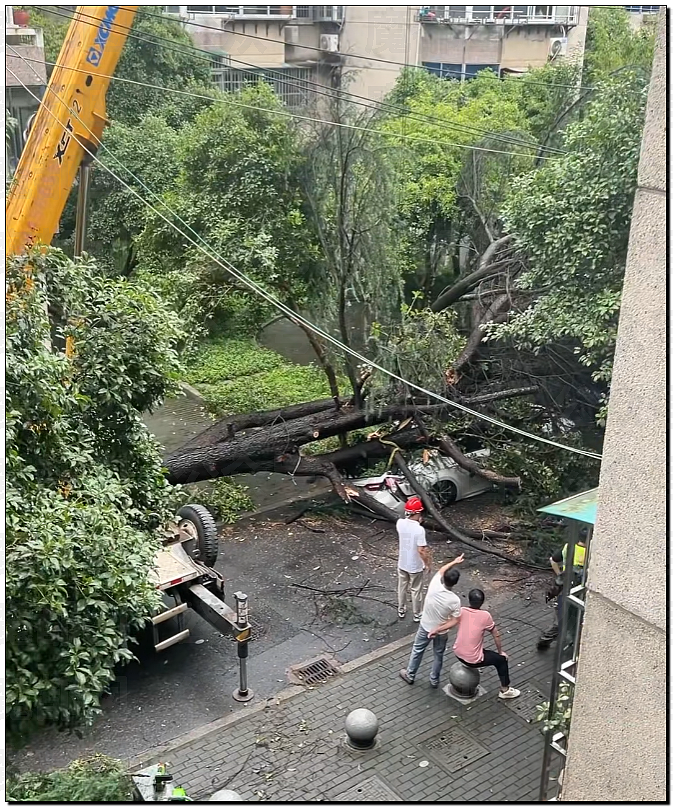 今年太怪!广西大水、湖北龙卷风!还会发生多少可怕的事?(组图) - 74