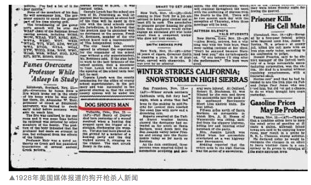 离谱！狗开枪在加油站打中无辜女子？在美国，狗用枪杀人不是一个笑话...（组图） - 3