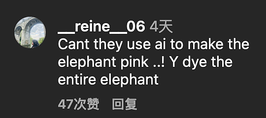 俄罗斯摄影师为出片将一只老象全身涂成粉色，3个月后大象死亡，摄影师被骂惨（组图） - 23