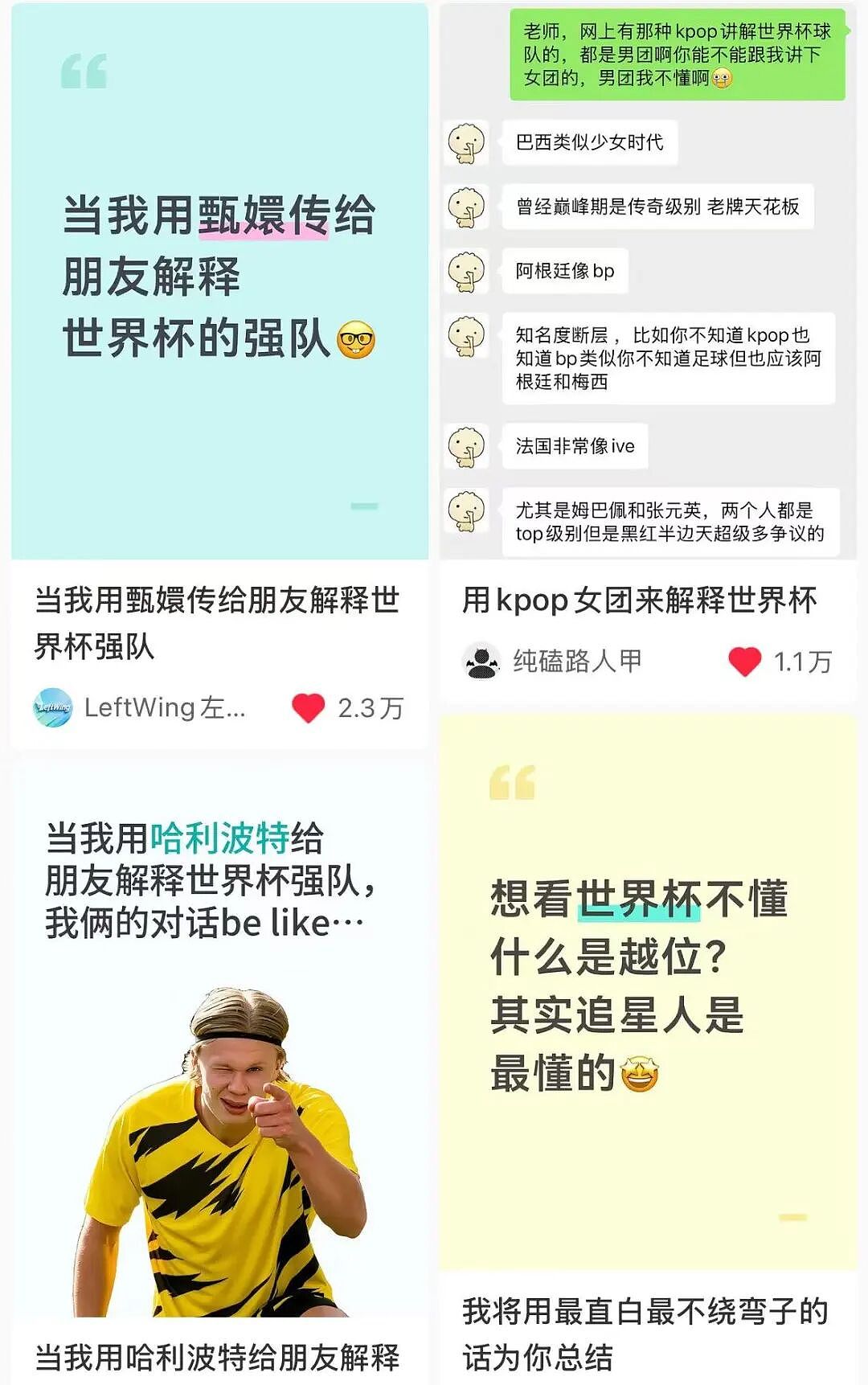 第一批在小红书追更世界杯的人,已经乐一星期了(组图) - 11