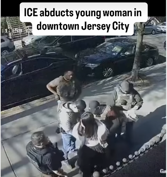 疑似华人女子街头被5人围堵带走，美国网友怒了：ICE这是在“绑架”...（组图） - 5