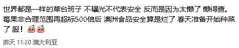 大翻车！澳洲超市，牛油果油可能是“假的”！番茄酱也可能假的！ - 9
