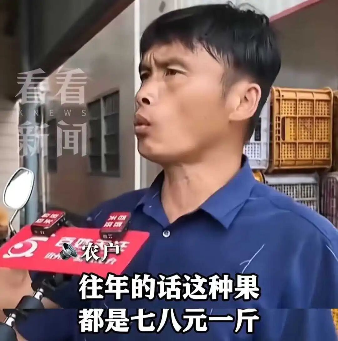 人人喊打的“泡药杨梅”，被自己人坑惨了（组图） - 3