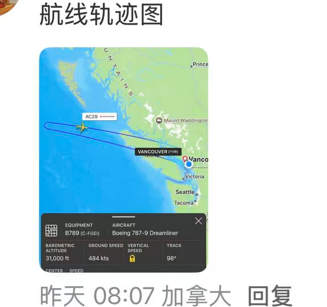 惊魂!回国航班突然掉头,万米高空排油紧急迫降!华人大哭机长崩溃...(组图) - 3