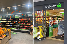 Woolworths推出大量懒人饭！“太方便了”（组图）