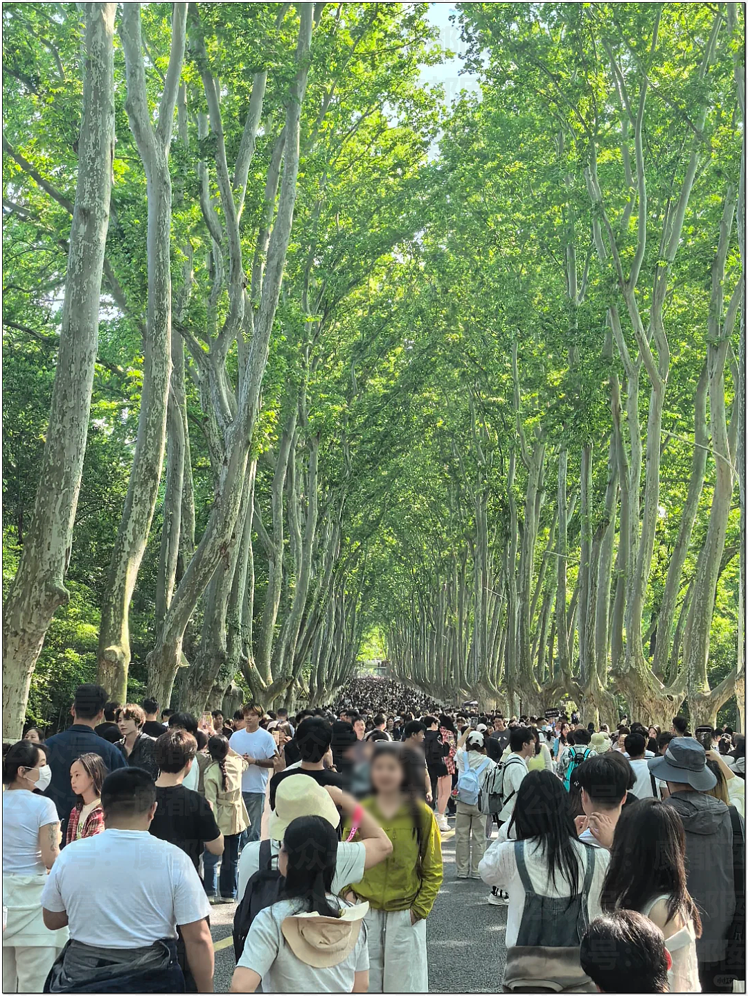 肉贴肉，人挤人！五一长假首日，中国各大景点已爆（组图） - 67