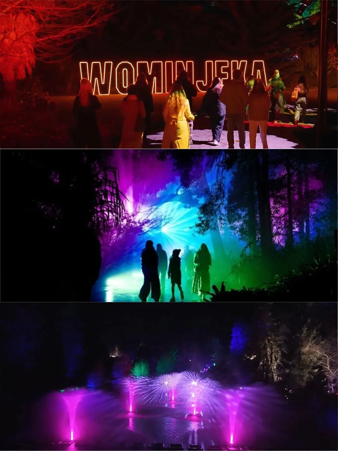 如果你觉得墨尔本冬天只有下雨和降温，那一定还没去过Lightscape（组图） - 5