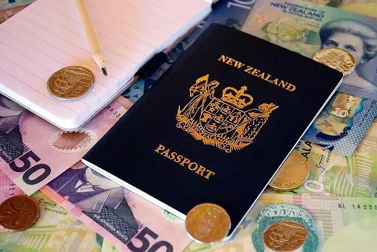 新西兰黄金签证首年吸金40亿纽币！资金涌向医疗科技，中国资本成主力（组图） - 3