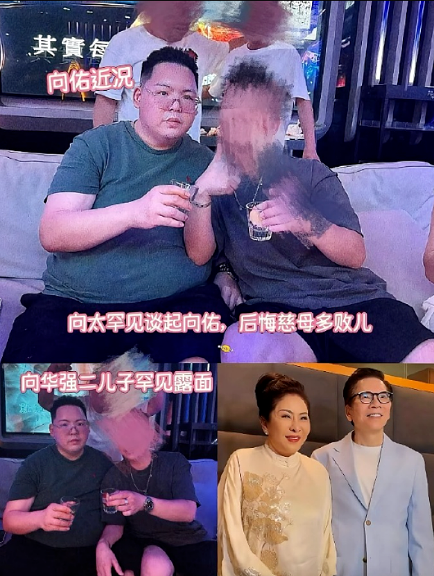 香港豪门家庭再爆风波，向太公开炮轰准儿媳，和郭碧婷待遇差太远（组图） - 8