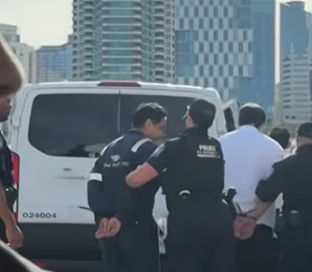 游客看傻了!迪士尼邮轮靠港后,多名员工穿制服被移民局铐走(组图) - 2