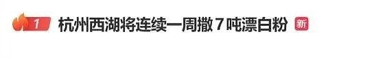冲上热搜!西湖连续一周撒7吨漂白粉,杭州官方回应 - 1
