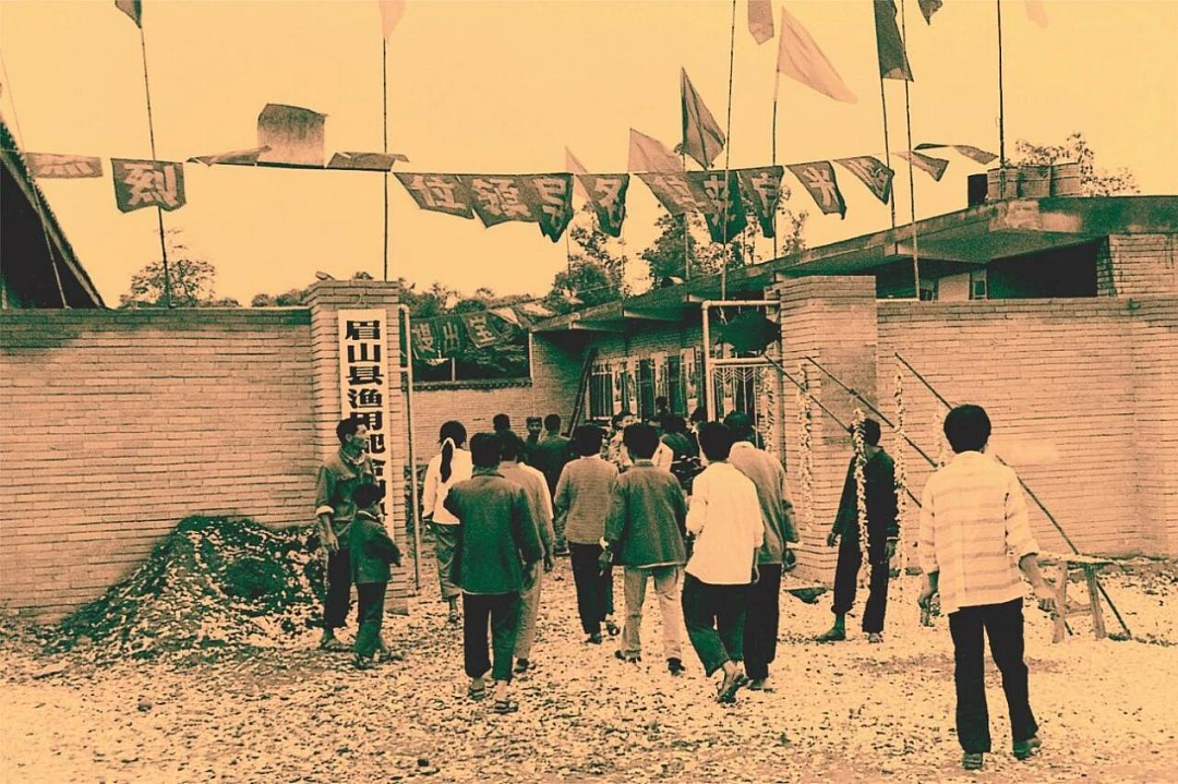 500元起家,他把两个“八竿子打不着”的行业,都干到了全球第一(组图) - 7