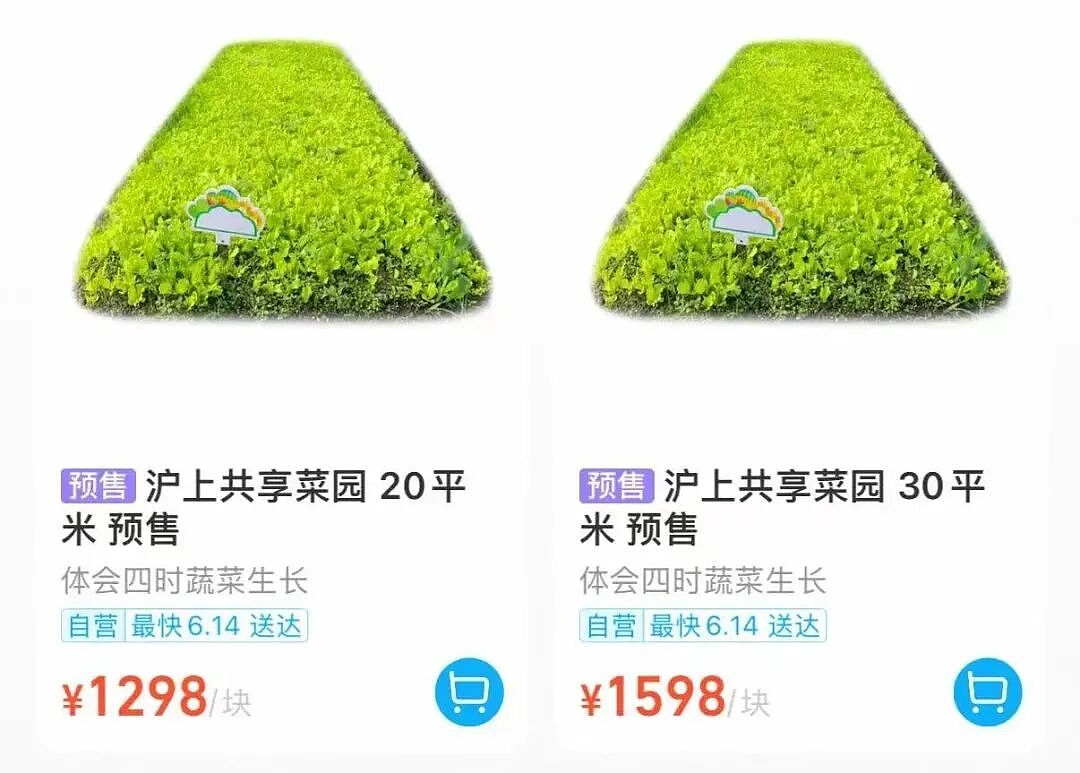 中产最烧钱的户外运动：种地 - 3