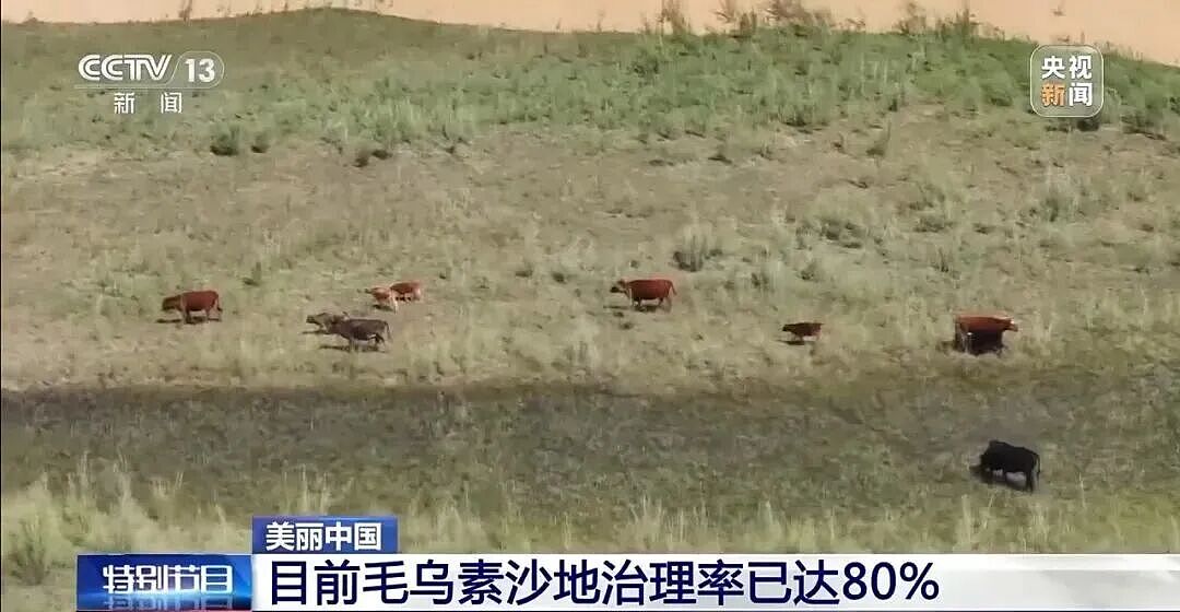 “绿了全世界”的中国,彻底震碎老外三观(组图) - 24