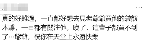 无数华人震惊又难过!那个备受喜爱的澳洲袋熊爷爷,突然去世了! - 29