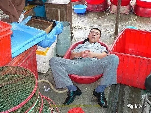 张雪峰猝然离世：用睡眠换明天的背后，为什么「猝死」的年轻人越来越多？ - 40