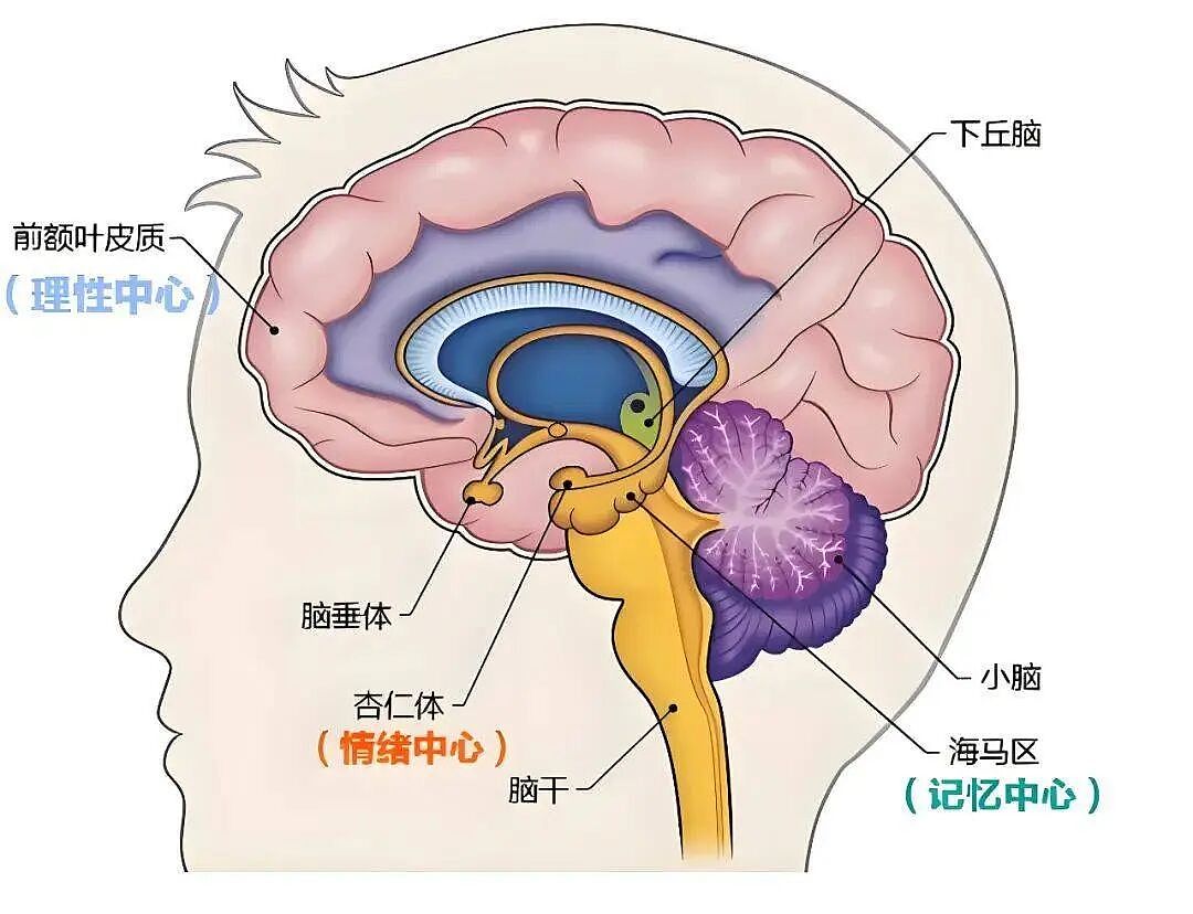 又一个“网红病”火上热搜, 把中国家长耍得团团转(组图) - 4
