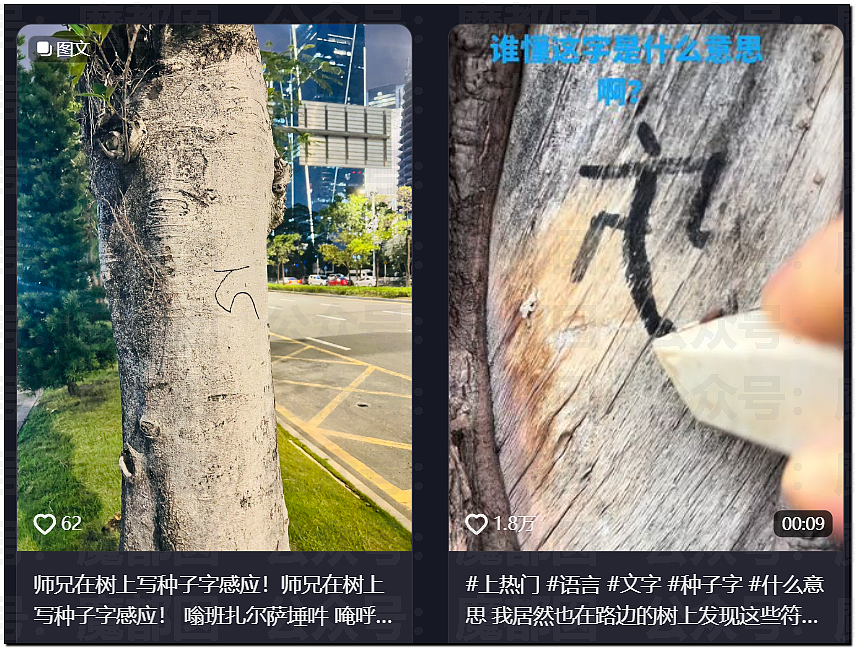 惊悚!全国各地树上忽然集中出现大量诡异奇怪符号!真相是? - 44