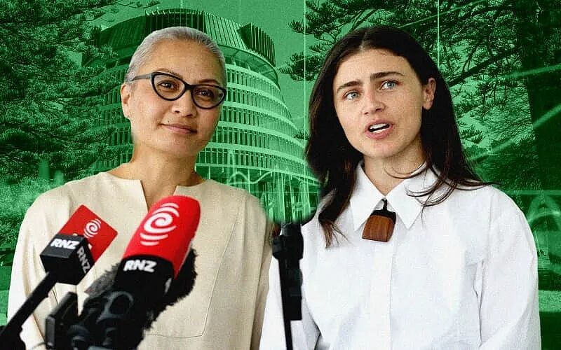惊！新西兰大选杀入“权游模式”：盟友突然翻脸，公开互撕背刺，谁会被踢出局？（组图） - 9