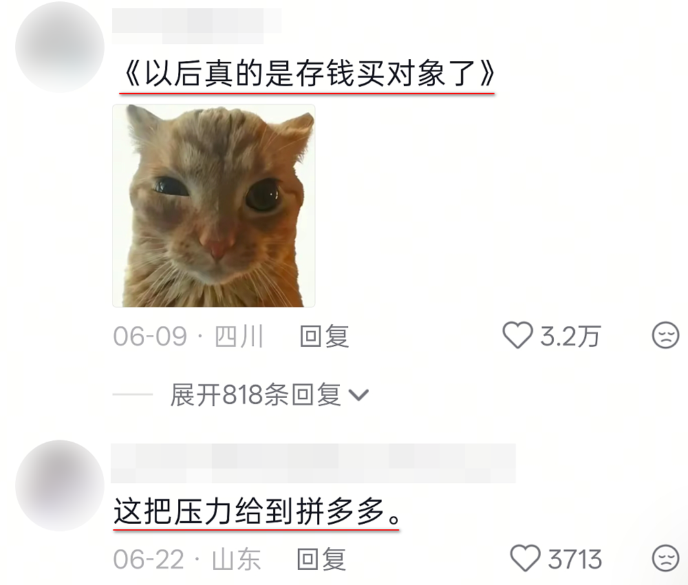 99万顶配的“机器人老婆”：贵过彩礼，谁是最大金主？（组图） - 33