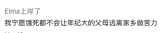 中国大爷来澳洲帮女儿打工撑家，凌晨起床开工，退休生活变高强度劳动！评论区引爆争议（组图） - 15