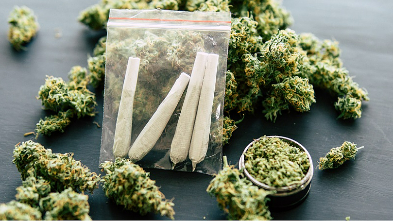 涉种植1.5万株大麻!6名中国公民在美国获刑,刑满后将全部遣返 - 3