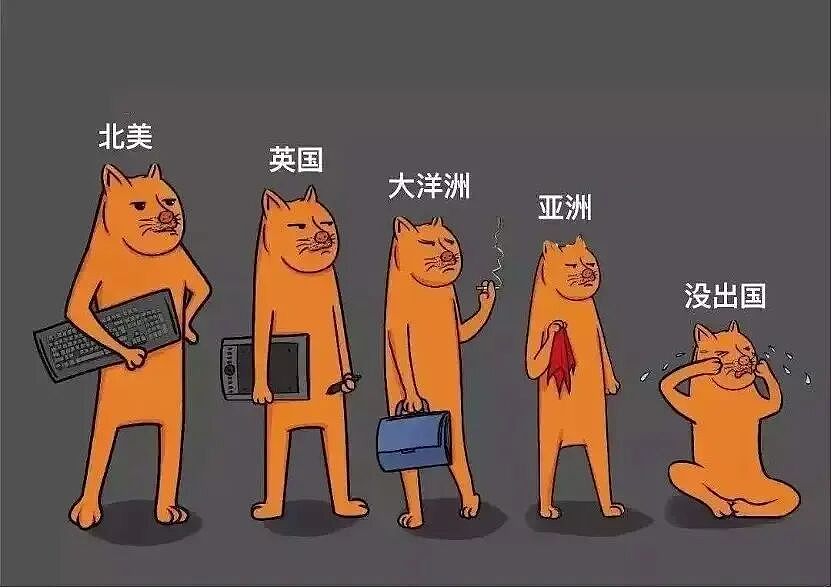 在澳洲读“水硕”的我，怎敢高攀美本出身的你？（组图） - 2