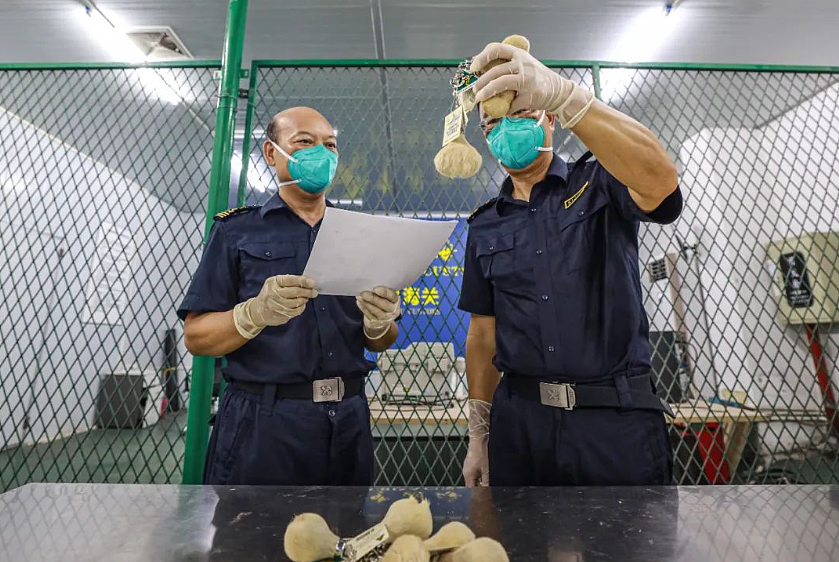 华人带“土特产”回国,刚下飞机就被拷走!大使馆警告:有这个单词的商品千万别带回国!(组图) - 6