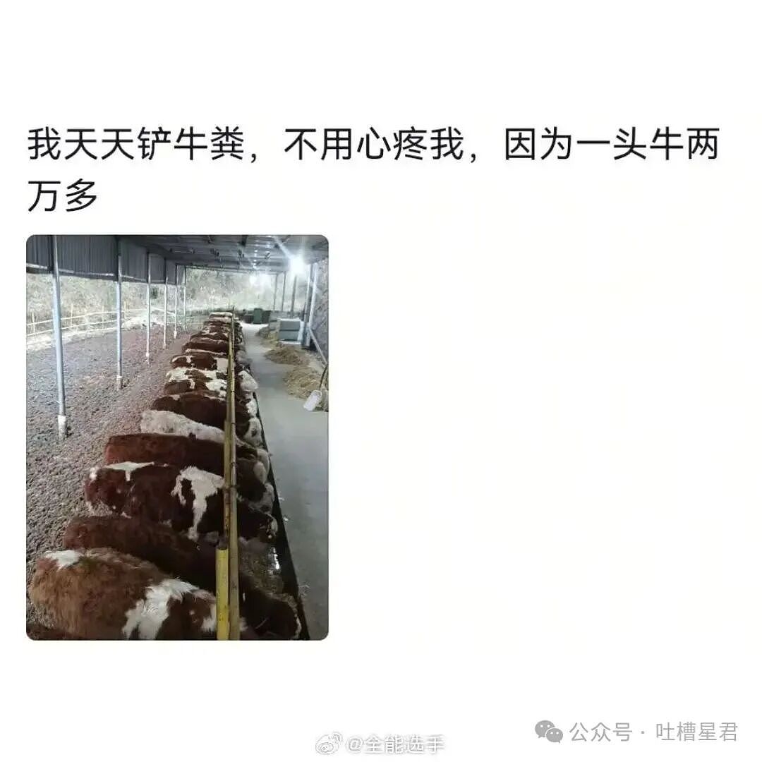 “看起来不体面的工作能挣多少钱...?”哈哈哈早知道不心疼你们了(组图) - 4