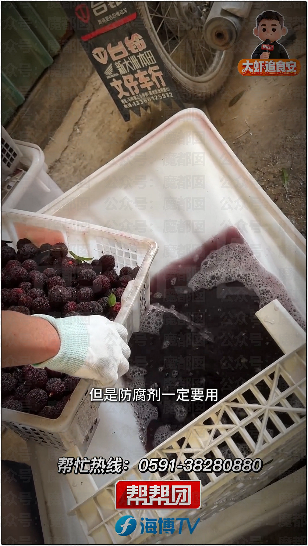 气到发抖！我们吃了那么多年杨梅竟都浸泡防腐剂和化学糖精（组图） - 30