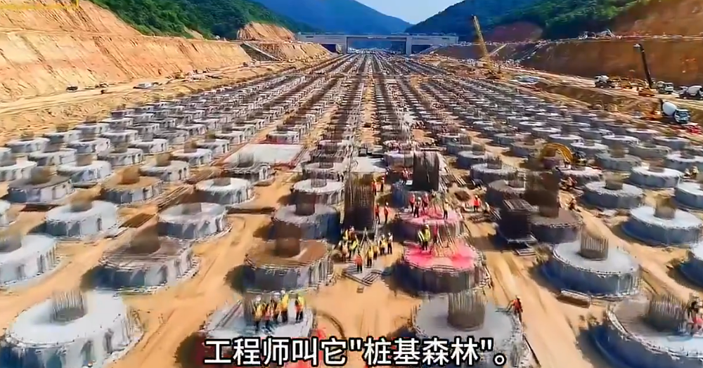 马斯克随手转发了一段中国火车站的视频，结果全世界的网友都破防了（组图） - 11