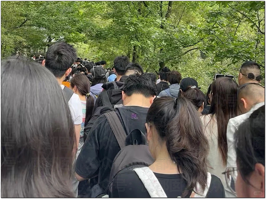 肉贴肉，人挤人！五一长假首日，中国各大景点已爆（组图） - 6