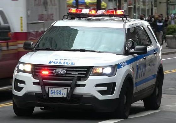 华女走街上险遭性侵，追半条街抓住嫌犯，誓言要让其受惩罚（组图） - 3