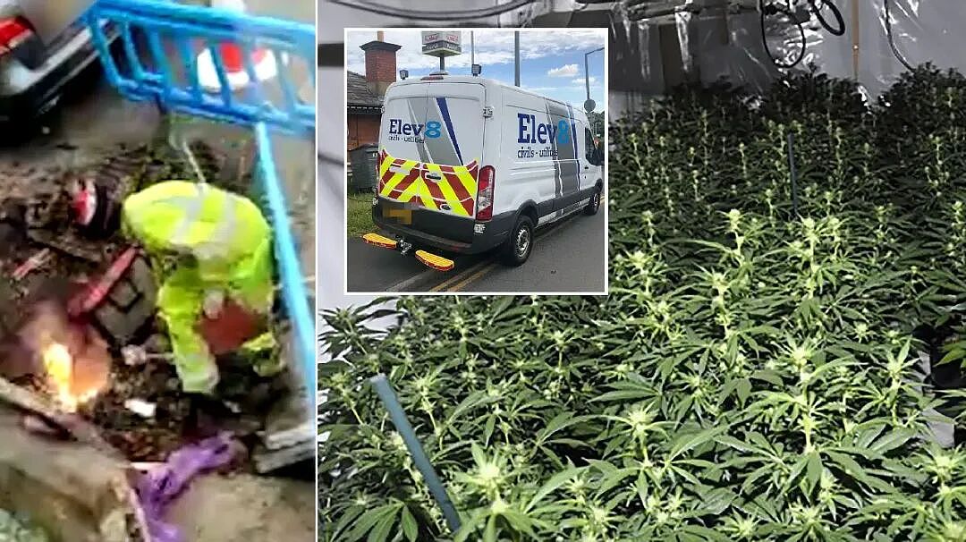 大麻贩子兴奋和整堆大麻合影，最后因合照入狱，警方：都不用费心找证据了（组图） - 7