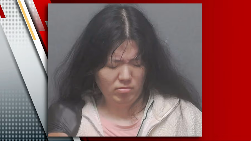 挥刀袭击消防员!非法入境华裔女子涉嫌多项重罪被捕,现场失控细节曝光(组图) - 4