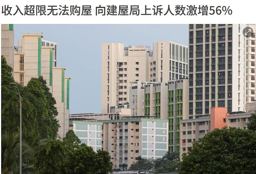 3000个新加坡家庭上诉！只因收入太高，而不能...（组图） - 1