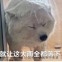 新加坡登顶全球最累国家!95%老板拒4天工作制、周均工时超45小时(组图) - 23