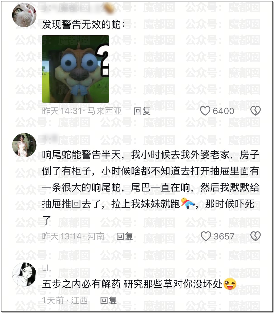 全网骇然！女生被AI带入剧毒蛇窝！遍地响尾蛇险些命丧当场（组图） - 60