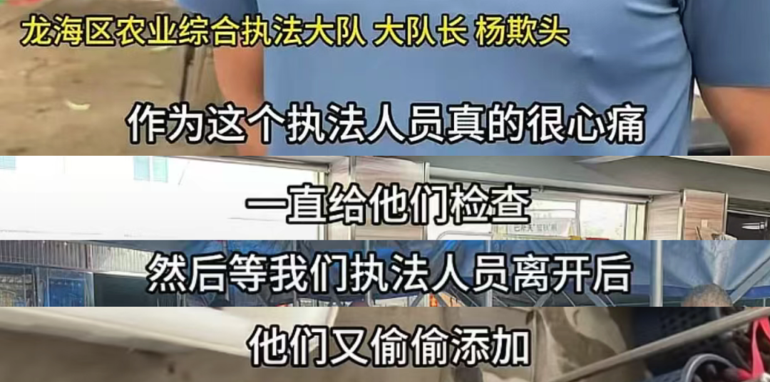 人人喊打的“泡药杨梅”，被自己人坑惨了（组图） - 21