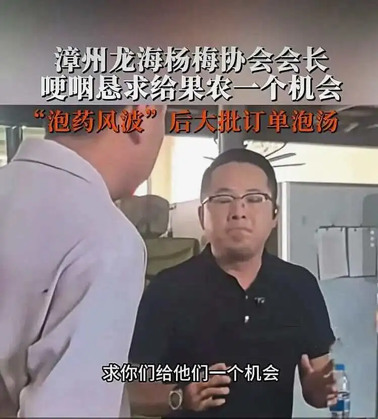人人喊打的“泡药杨梅”，被自己人坑惨了（组图） - 13