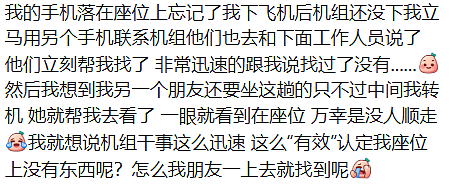 没摄像头没人管!华人飞国外,手机被顺走,有人丢了100万!国际航班成重灾区,机组人员也别信 - 8