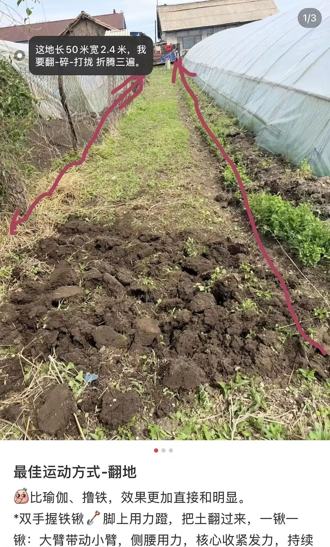 中产最烧钱的户外运动：种地 - 10