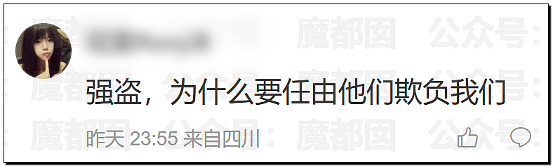 LV起诉茉莉奶白商标侵权判赔千万！传统宝相花纹样归属引热议（组图） - 32