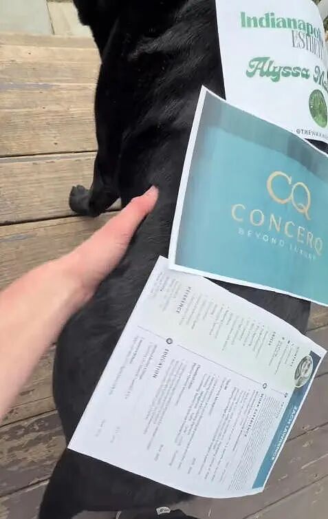 老哥突发奇想,在狗狗身上广告位招租!没想到赚疯直接原地辞职...这都行?! - 10