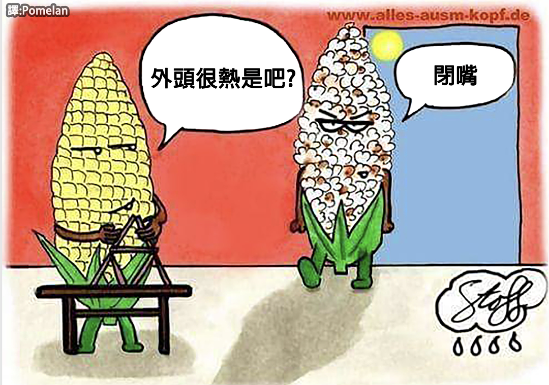 热疯了是真的！炎热让人成绩下降，狗开始咬人，鸟用头撞墙，到处都在打架… - 2