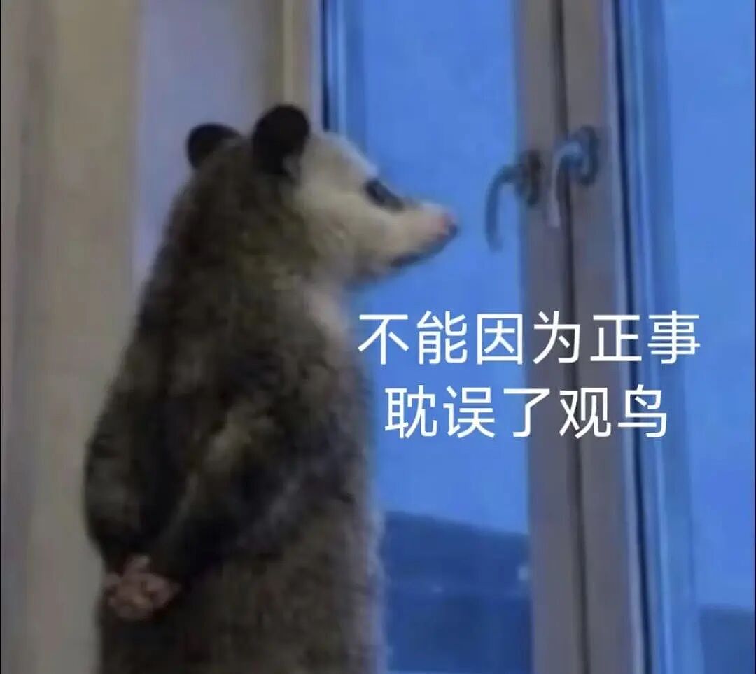 在工位上偷偷“赛博观鸟”,中国打工人享受“提前退休”(组图) - 5