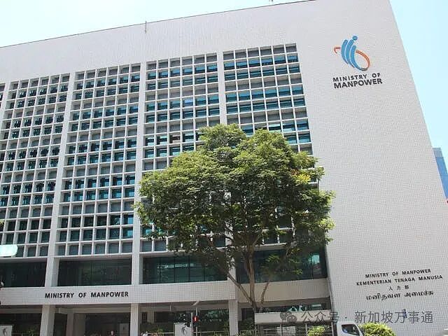 中国男子花5500来新加坡打工,中介造假人力部批文后“消失”最终…(组图) - 23