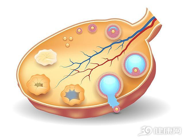 卵巢早衰没办法逆转？医生直指：除了补充激素，还有3个有效方法