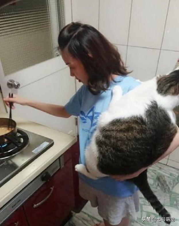 女子正在做饭，猫咪吵着要看，她单手抱起11kg肥猫煮饭，臂力惊人