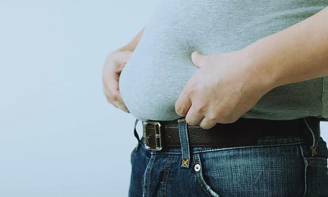 瘦子的饮食结构 VS 胖子的饮食结构